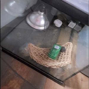 50 gal reptile tank. Head lamps- hammock- water dish. - fake rocks.